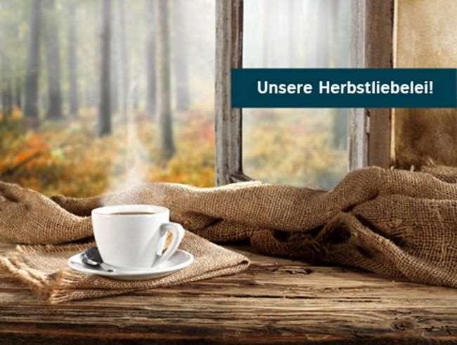 Good Morning+ Halle Leipzig Kabelsketal Servicios foto